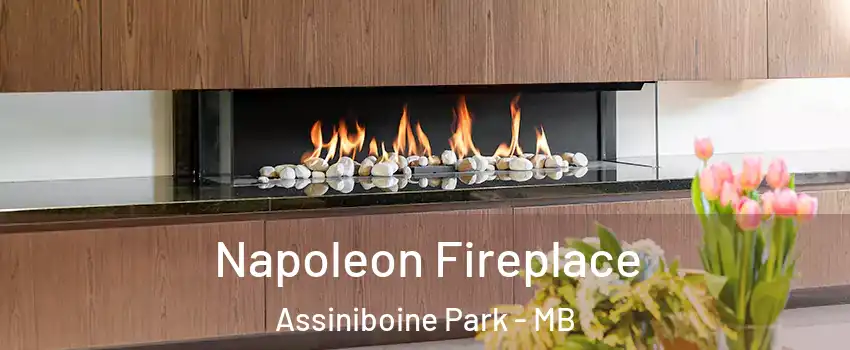  Napoleon Fireplace Assiniboine Park - MB
