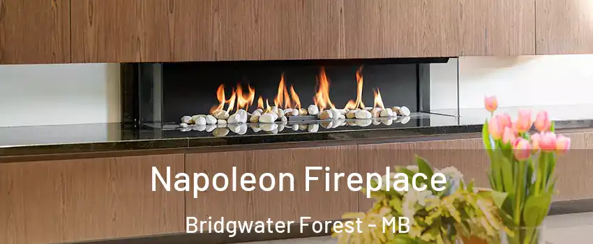  Napoleon Fireplace Bridgwater Forest - MB