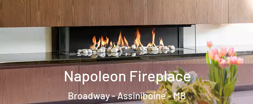  Napoleon Fireplace Broadway - Assiniboine - MB