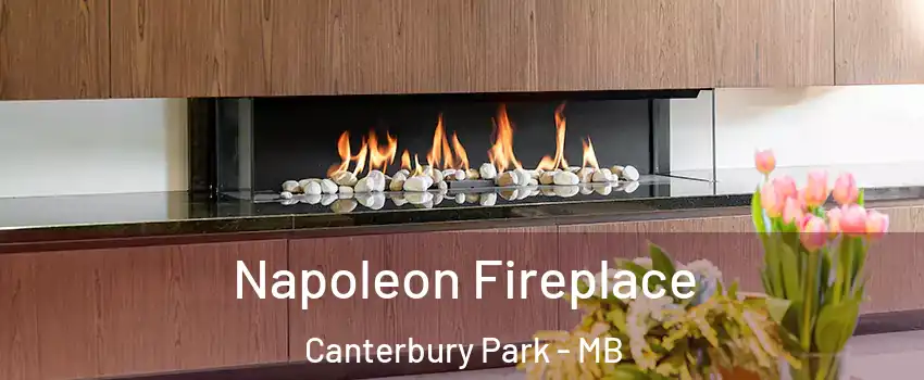  Napoleon Fireplace Canterbury Park - MB
