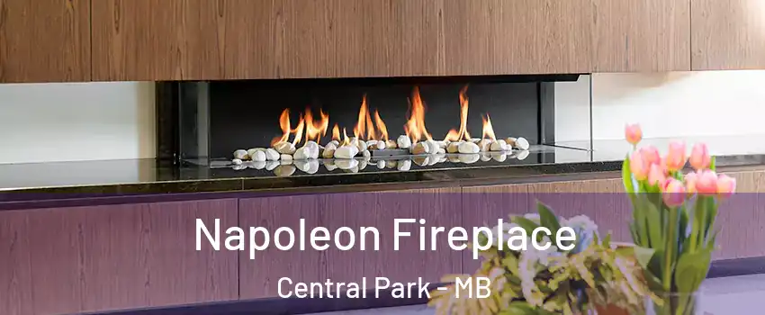  Napoleon Fireplace Central Park - MB