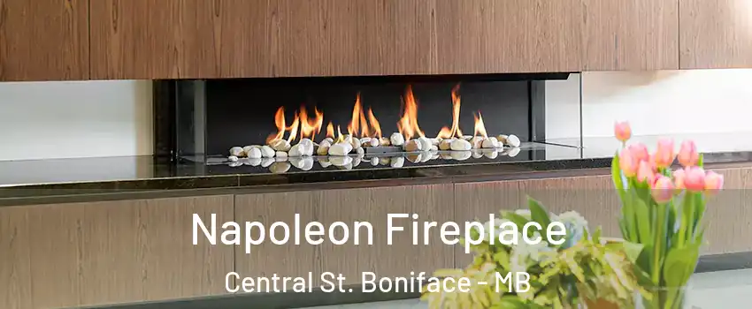  Napoleon Fireplace Central St. Boniface - MB