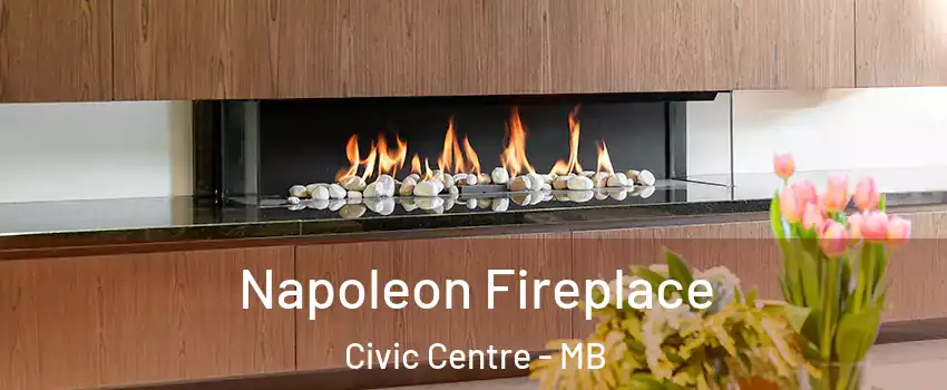  Napoleon Fireplace Civic Centre - MB