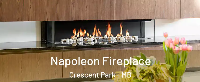  Napoleon Fireplace Crescent Park - MB