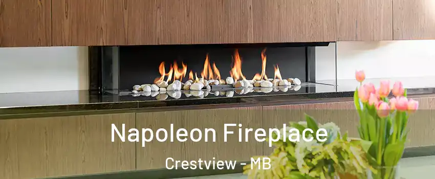  Napoleon Fireplace Crestview - MB