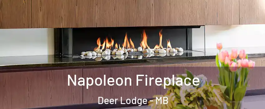  Napoleon Fireplace Deer Lodge - MB