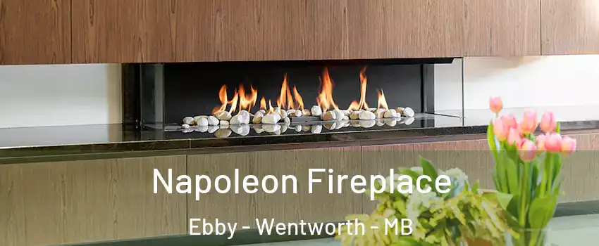  Napoleon Fireplace Ebby - Wentworth - MB