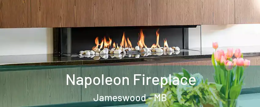  Napoleon Fireplace Jameswood - MB