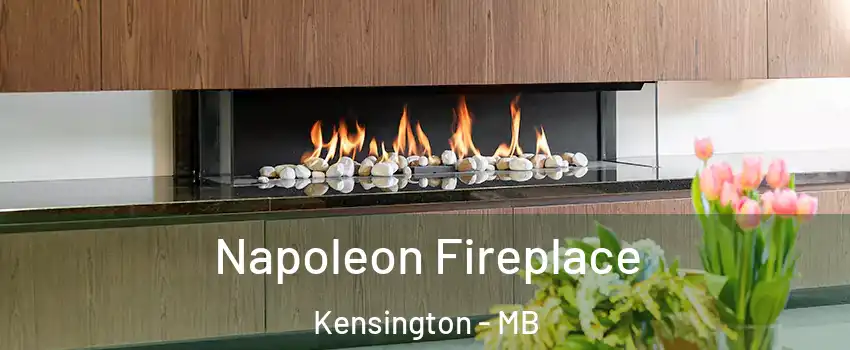  Napoleon Fireplace Kensington - MB