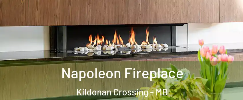 Napoleon Fireplace Kildonan Crossing - MB