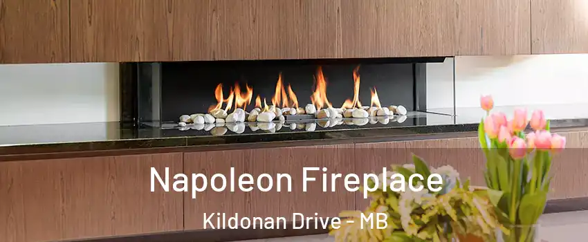  Napoleon Fireplace Kildonan Drive - MB