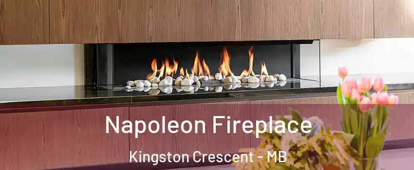  Napoleon Fireplace Kingston Crescent - MB