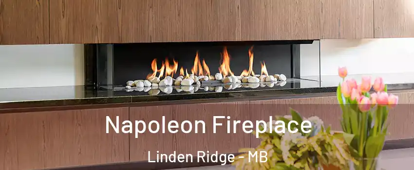  Napoleon Fireplace Linden Ridge - MB