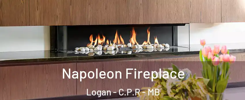  Napoleon Fireplace Logan - C.P.R - MB