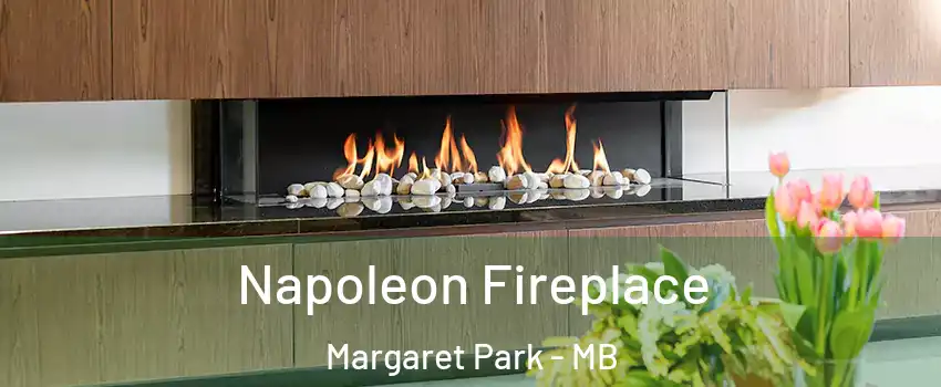  Napoleon Fireplace Margaret Park - MB