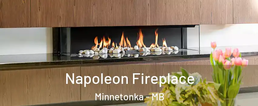  Napoleon Fireplace Minnetonka - MB