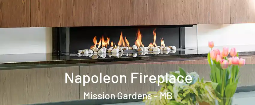 Napoleon Fireplace Mission Gardens - MB