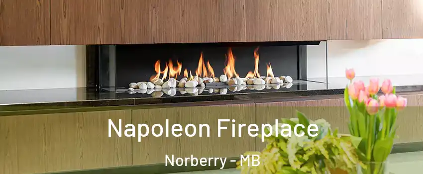  Napoleon Fireplace Norberry - MB