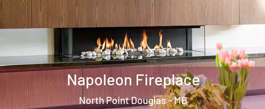  Napoleon Fireplace North Point Douglas - MB