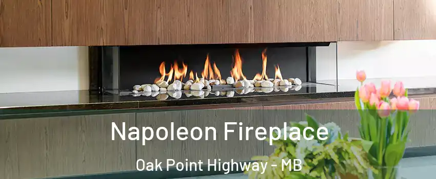  Napoleon Fireplace Oak Point Highway - MB