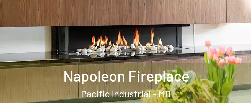 Napoleon Fireplace Pacific Industrial - MB