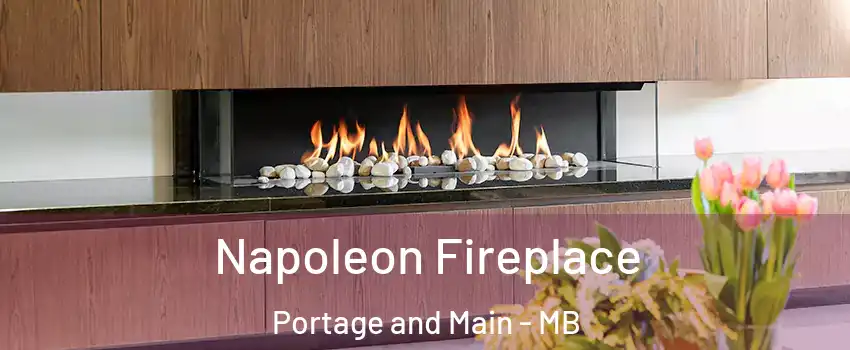  Napoleon Fireplace Portage and Main - MB