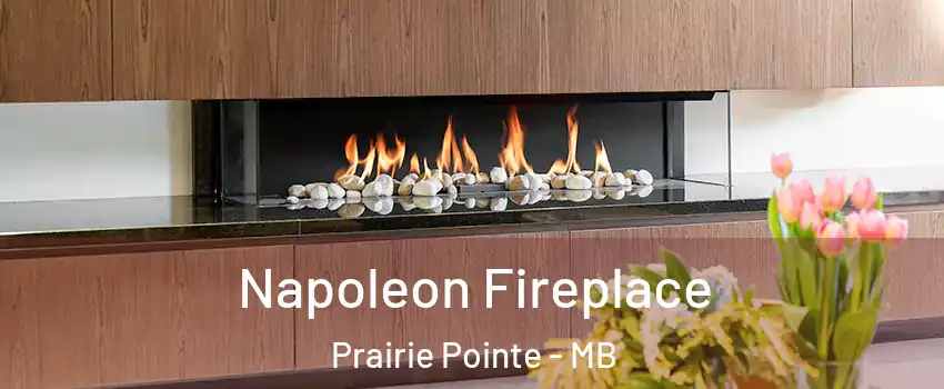  Napoleon Fireplace Prairie Pointe - MB