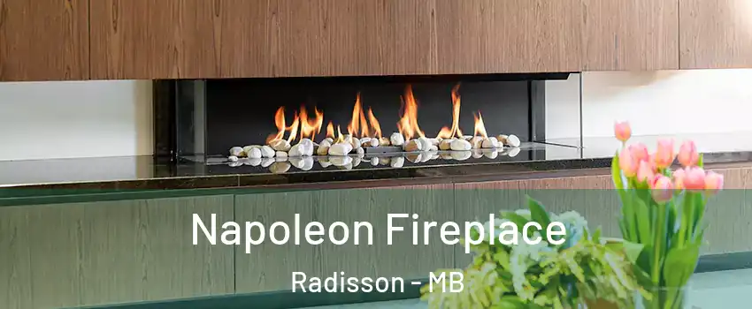  Napoleon Fireplace Radisson - MB