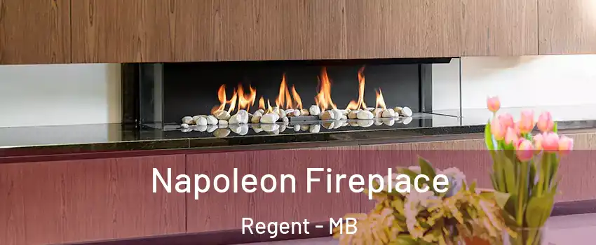  Napoleon Fireplace Regent - MB