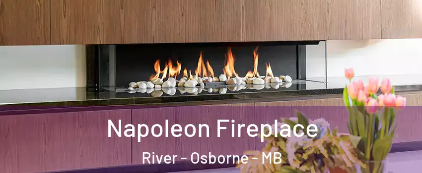 Napoleon Fireplace River - Osborne - MB