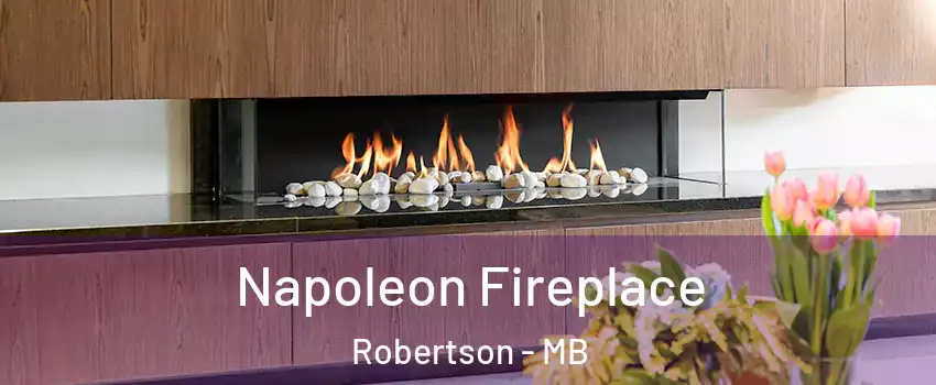  Napoleon Fireplace Robertson - MB