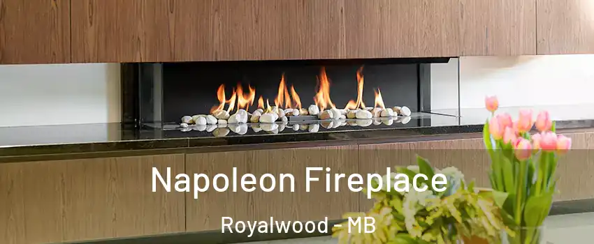  Napoleon Fireplace Royalwood - MB