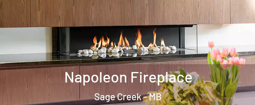  Napoleon Fireplace Sage Creek - MB
