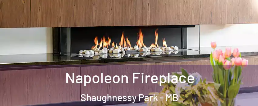  Napoleon Fireplace Shaughnessy Park - MB