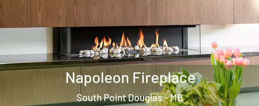  Napoleon Fireplace South Point Douglas - MB