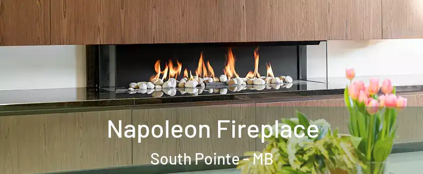  Napoleon Fireplace South Pointe - MB