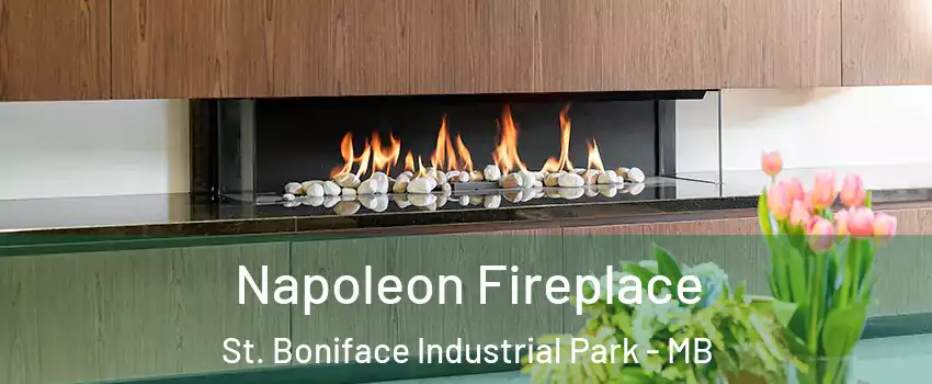  Napoleon Fireplace St. Boniface Industrial Park - MB