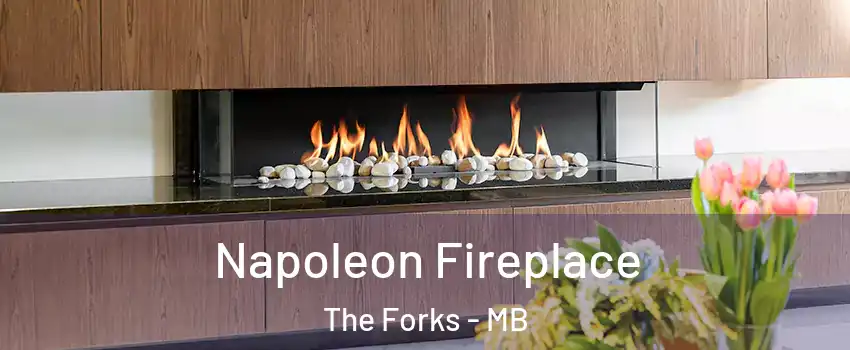  Napoleon Fireplace The Forks - MB