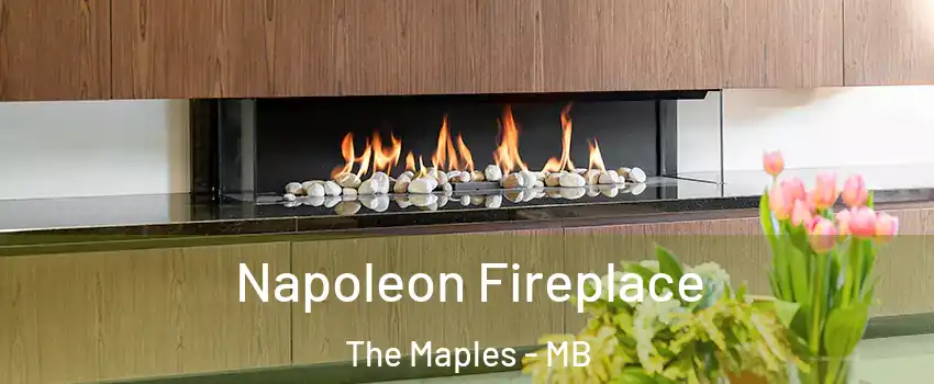  Napoleon Fireplace The Maples - MB