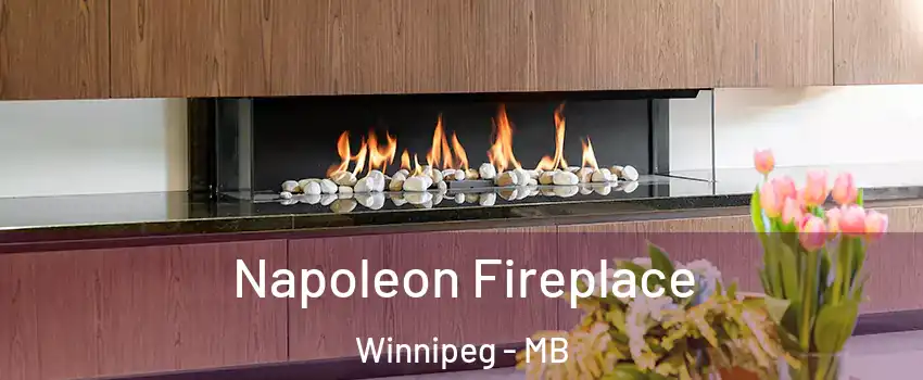  Napoleon Fireplace Winnipeg - MB