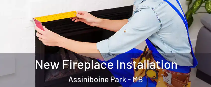  New Fireplace Installation Assiniboine Park - MB