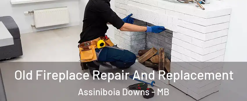  Old Fireplace Repair And Replacement Assiniboia Downs - MB