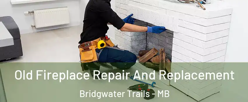  Old Fireplace Repair And Replacement Bridgwater Trails - MB