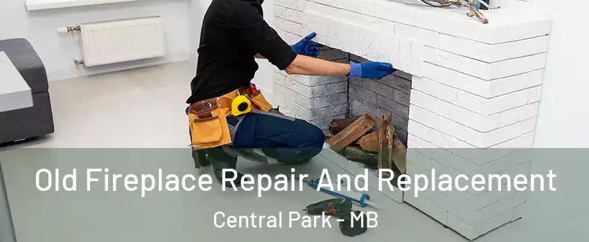  Old Fireplace Repair And Replacement Central Park - MB