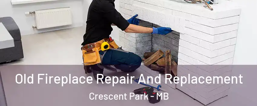  Old Fireplace Repair And Replacement Crescent Park - MB