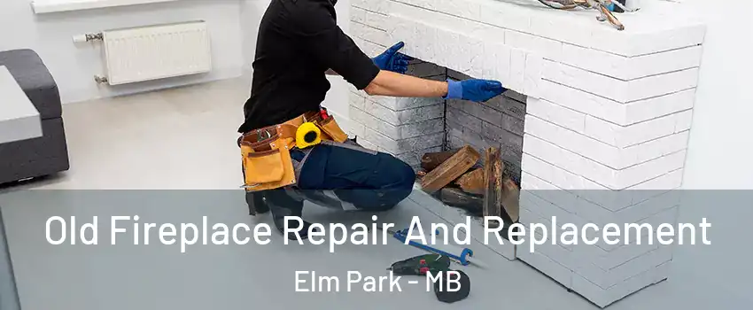  Old Fireplace Repair And Replacement Elm Park - MB