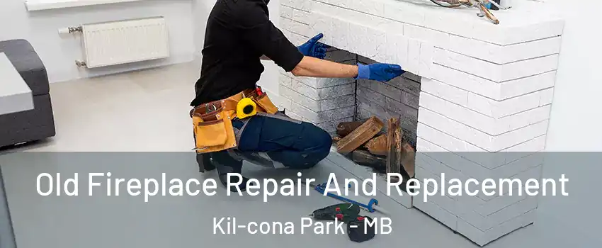  Old Fireplace Repair And Replacement Kil-cona Park - MB