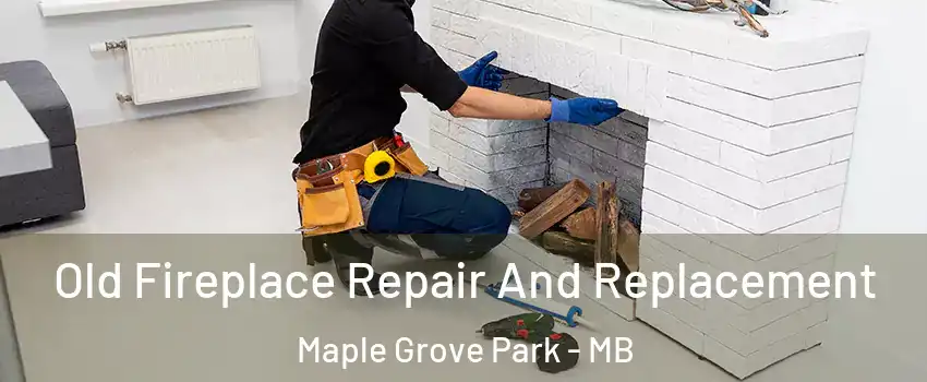  Old Fireplace Repair And Replacement Maple Grove Park - MB