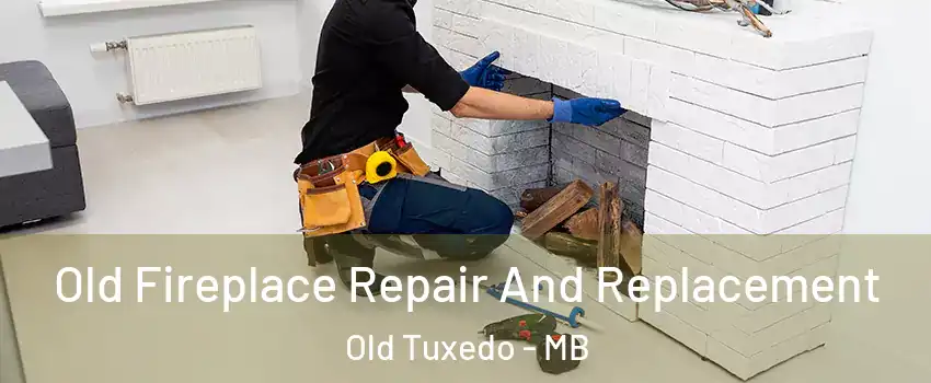  Old Fireplace Repair And Replacement Old Tuxedo - MB