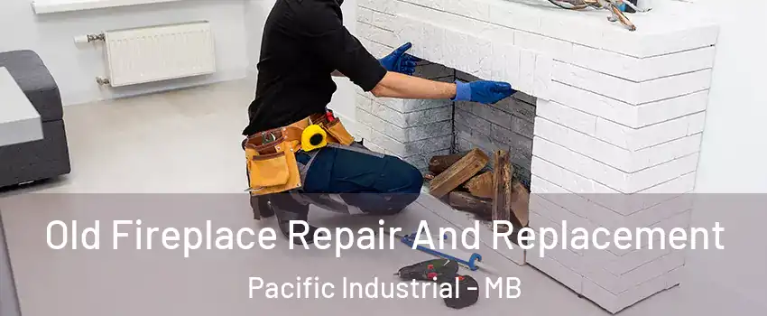  Old Fireplace Repair And Replacement Pacific Industrial - MB